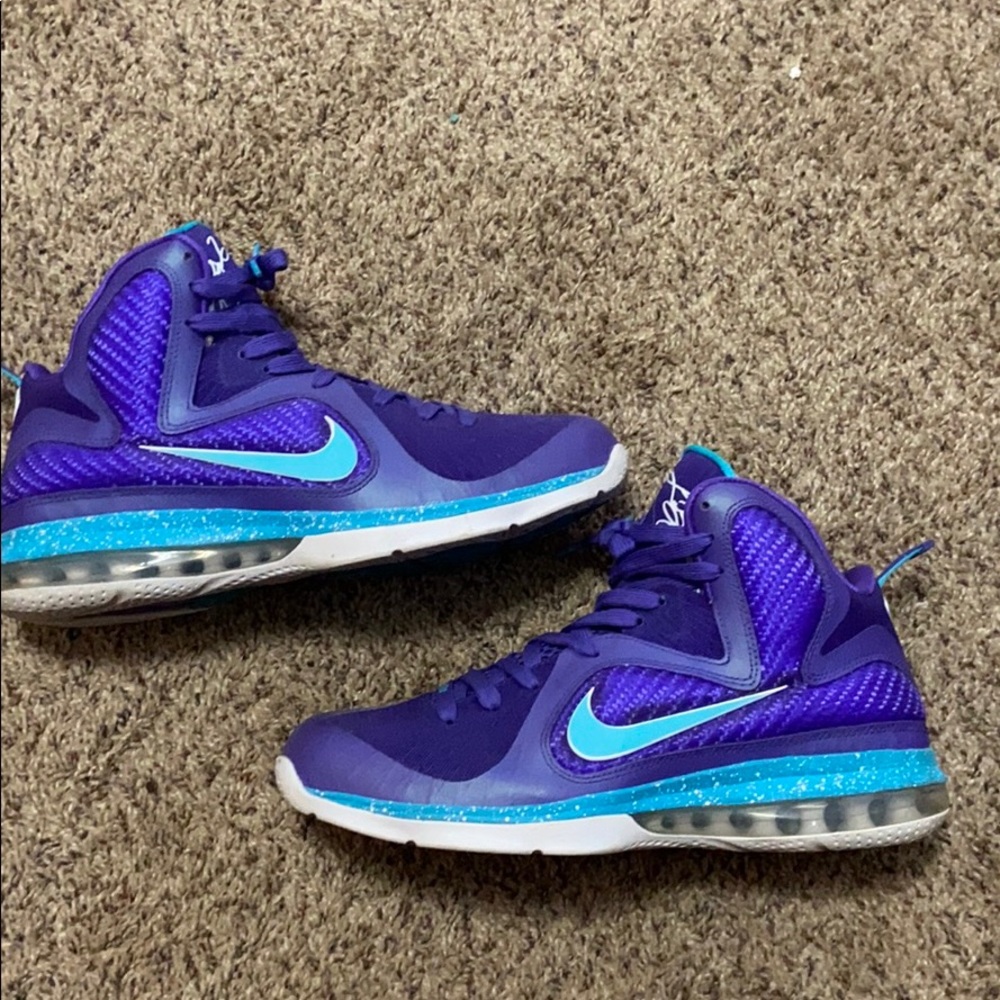 Lebron 9 “hornets”